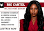design, redesign, setup, fix big cartel, ecwid, bigcommerce opencart shopify